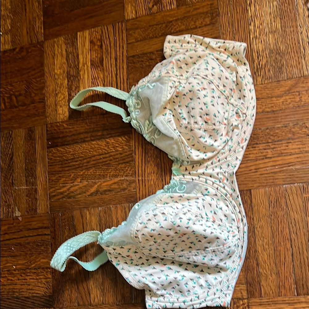 Fun Mint Detailed bra